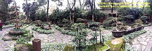 Chendgu 014